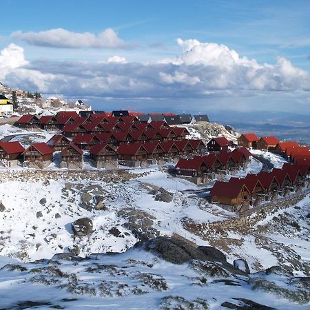 Luna Chalets Da Montanha - Serra Da Estrela Ковильян Экстерьер фото