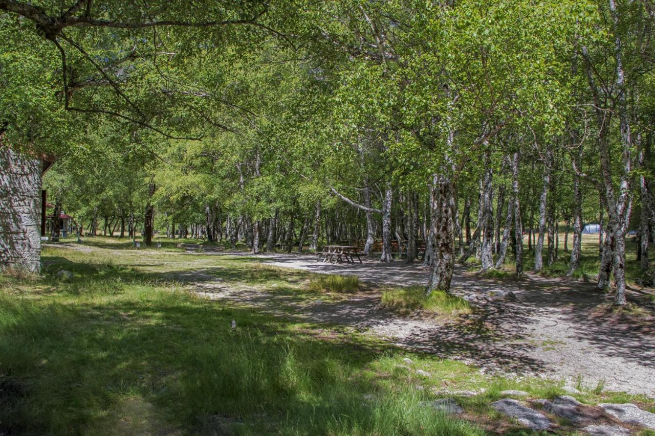 Luna Chalets Da Montanha - Serra Da Estrela Ковильян Экстерьер фото